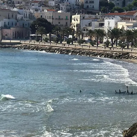 In By Interhome Vieste