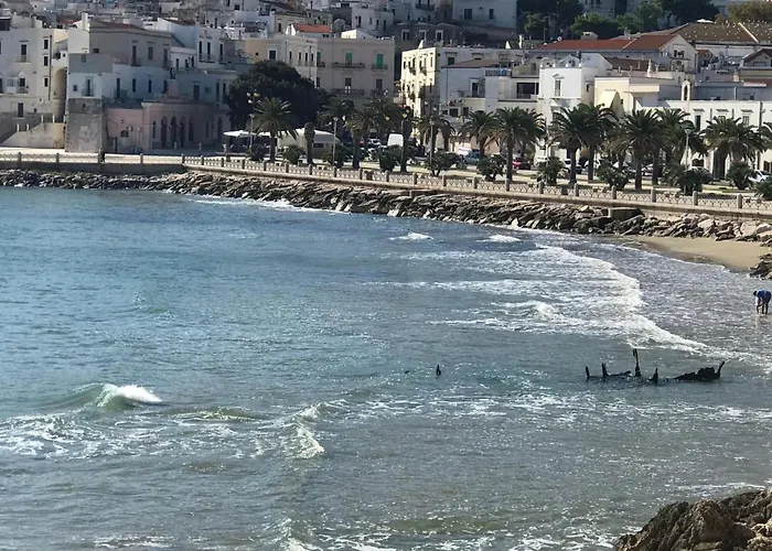 In By Interhome Vieste